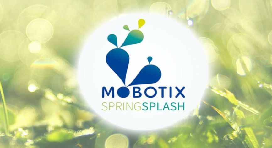 SpringSplash