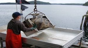 Archipelago Marine Research on the dock - 2019