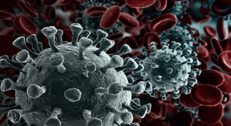 covid-19 virus