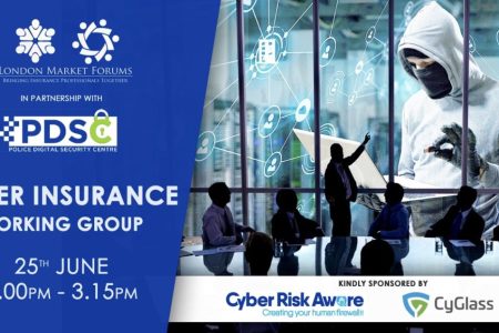 Cyber Insurance Working Group[45290]